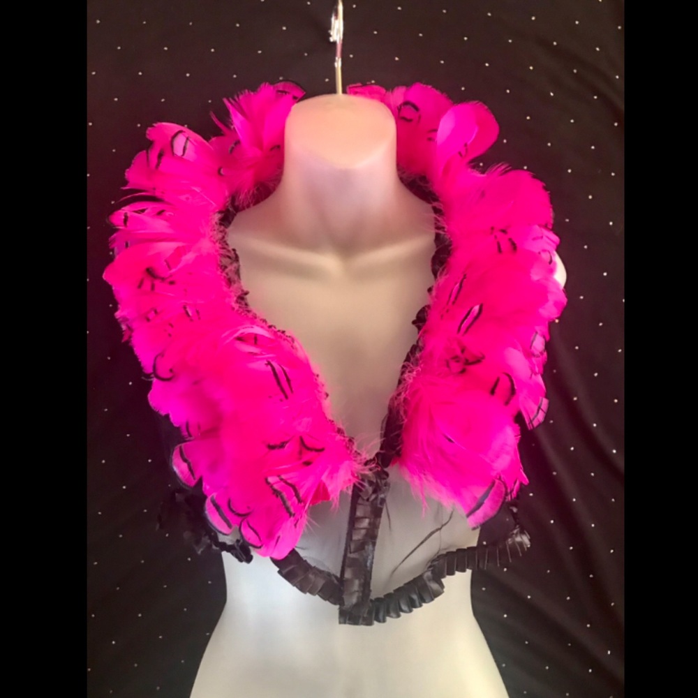 Hot Pink Feather & Mesh Crop Top